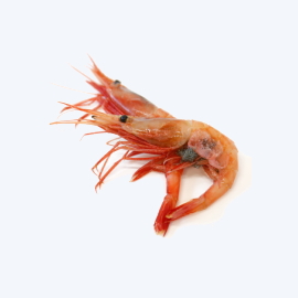 エビ